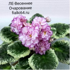 ЛЕ-Весеннее Очарование (Лебецкая)